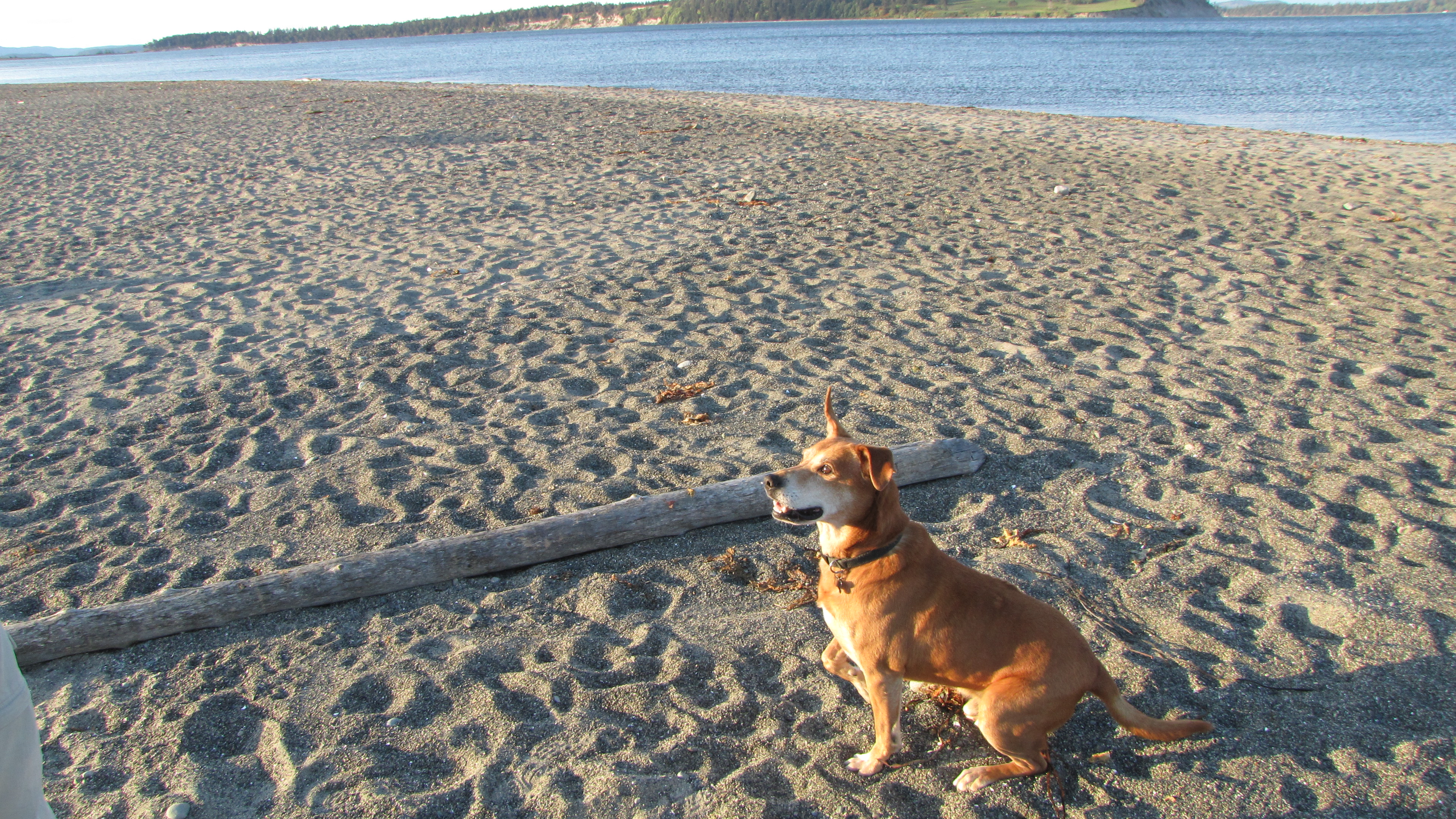 Test photo 1