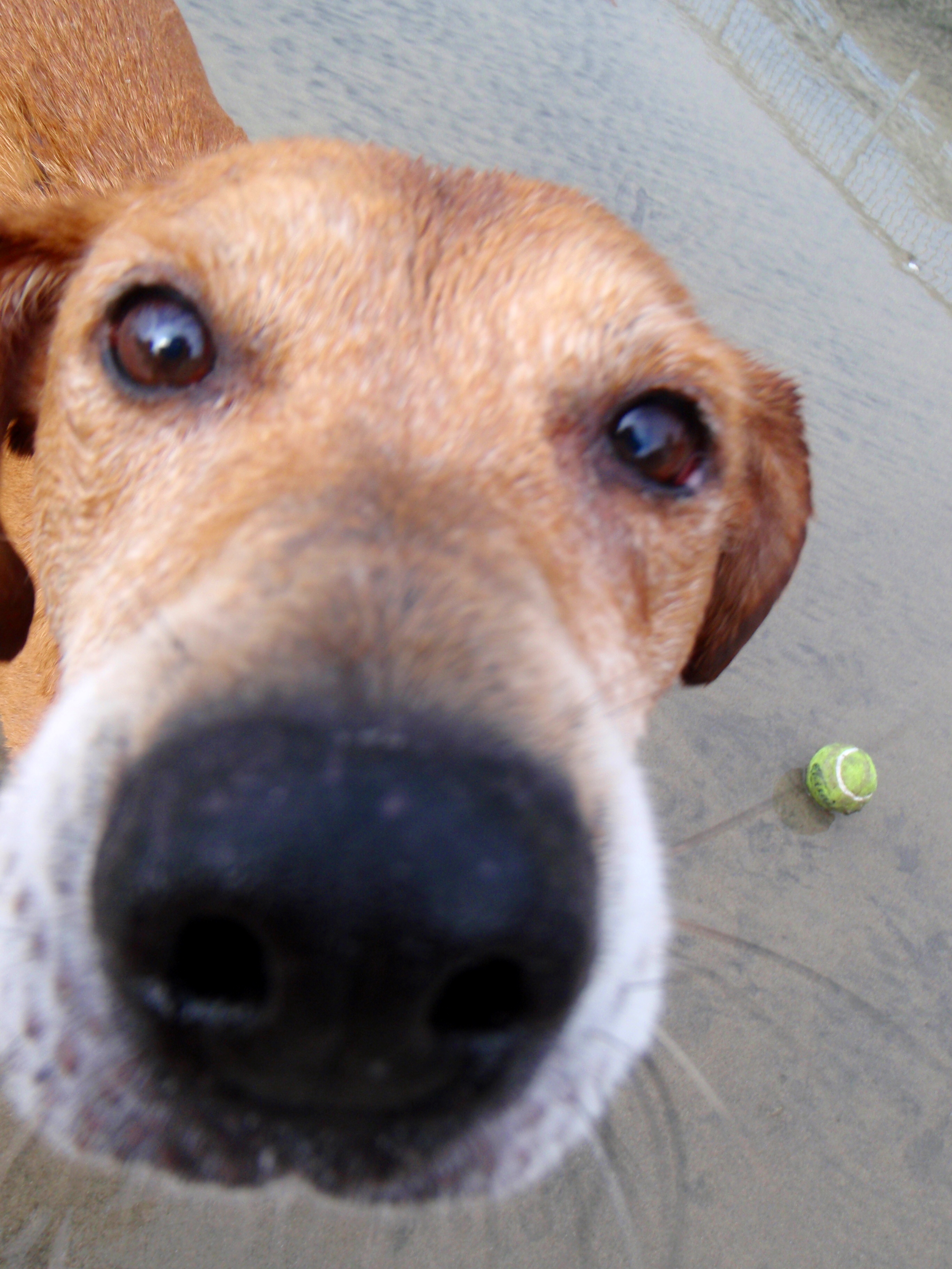 Test photo 6